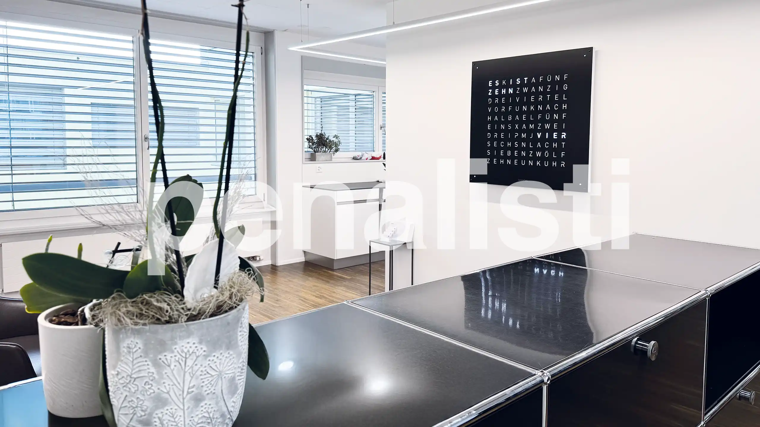 Blick auf die Rezeption der penalisti Büros